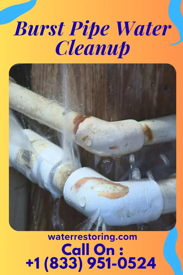Burst Pipe Water Cleanup in Salem, WV