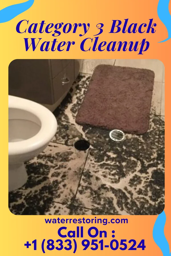 Category 3 Black Water Cleanup in Salem, WV