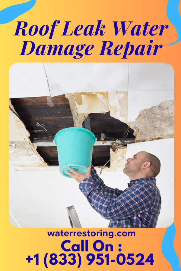 Roof Leak Water Damage Repair in Salem, WV
