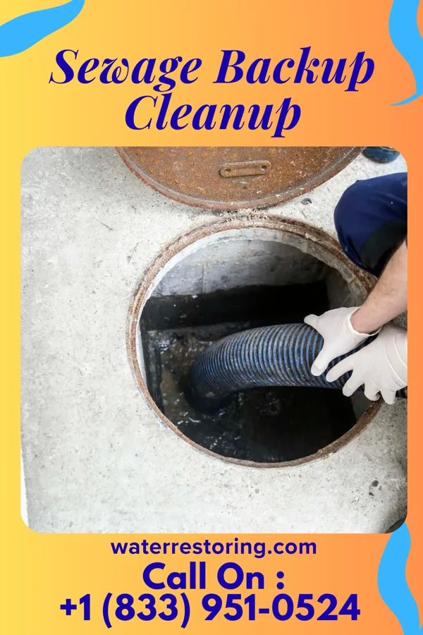Sewage Backup Cleanup in Salem, WV