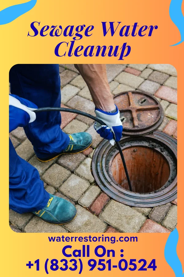 Sewage Water Cleanup in Salem, WV