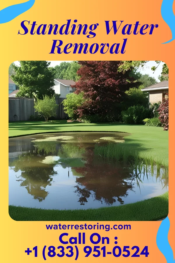 Standing Water Removal in Salem, WV